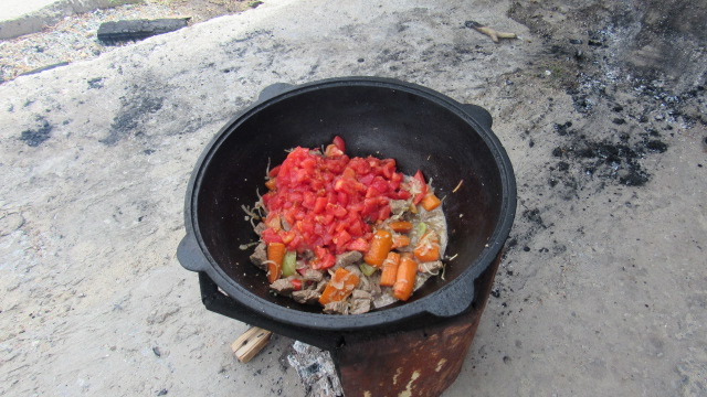 Шурпа обыкновенная, на природе