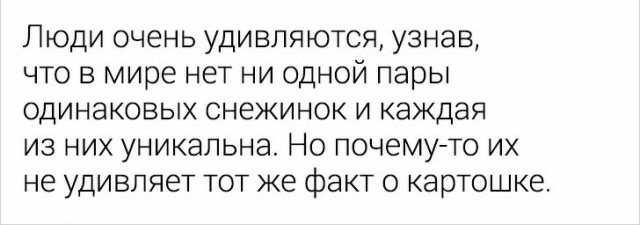 Немного смешных картинок