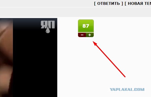 Фокус удался