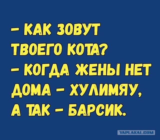 Немного картинок для настроения 05.05.20