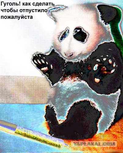 Фотожаба: Панда спалился!