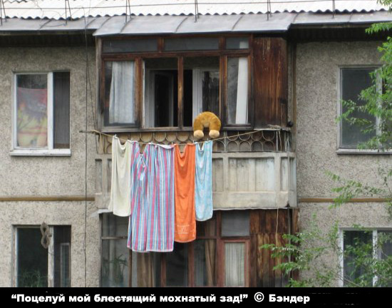 Конкурс: подпись к картинке