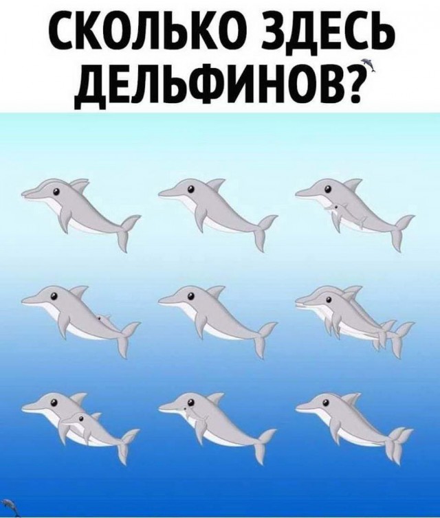 Бредзона