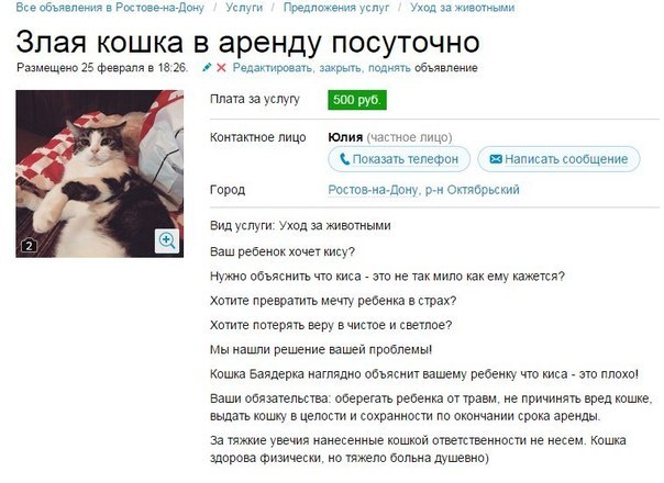 Разные картинки во вторник. С котами
