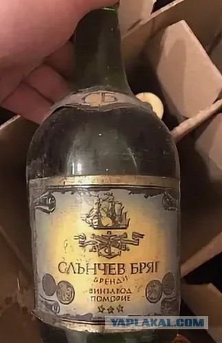 Выпили антисептик