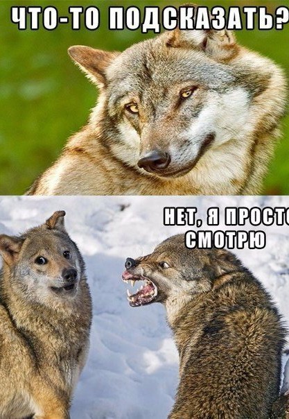 Картинки всякие