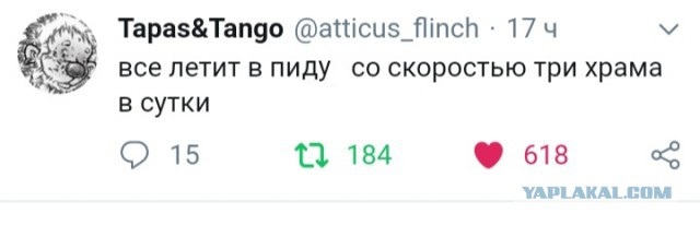 Воскресные кретинизмы из сети 07.02.21