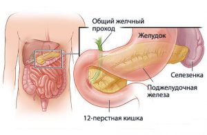 Жизнь потеряла всякий смысл или всё не так уж плохо!