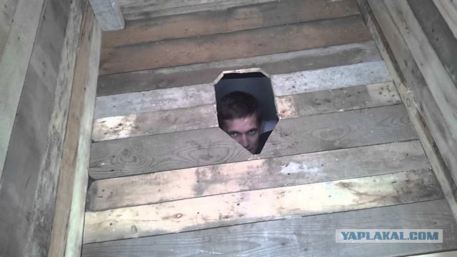 Скотсети и прочие интернеты 28.05.2021