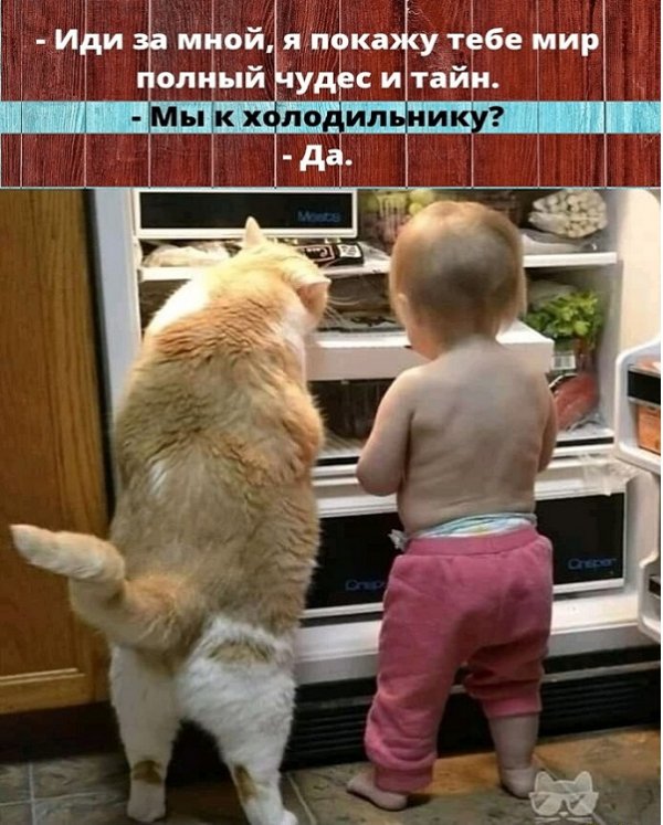 Прикольные и просто красивые картинки 01.06.2021