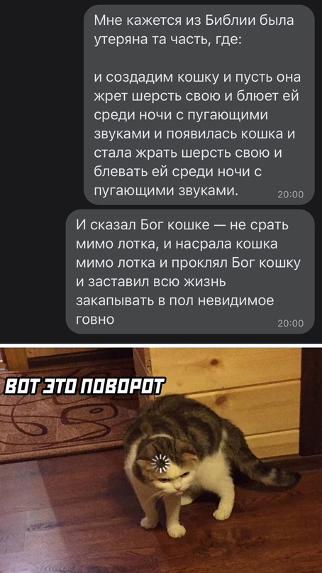 Весёлый полтишок 4.07