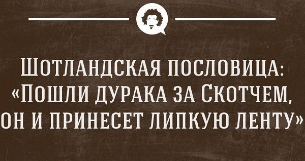 Алексея Навального поместили в штрафной изолятор за критику движения «Талибан»*