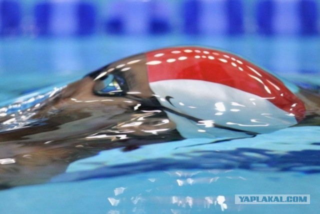Спортивные приколы