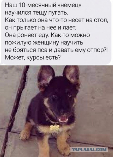 Картинки и мемы для настроения 19.08.2021