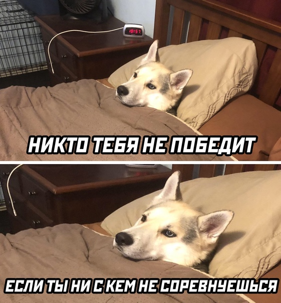 Картинки и мемы для настроения 27.09.2021