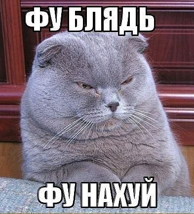 Австралийка полностью покрыла себя тату, чтобы избавиться от неуверенности