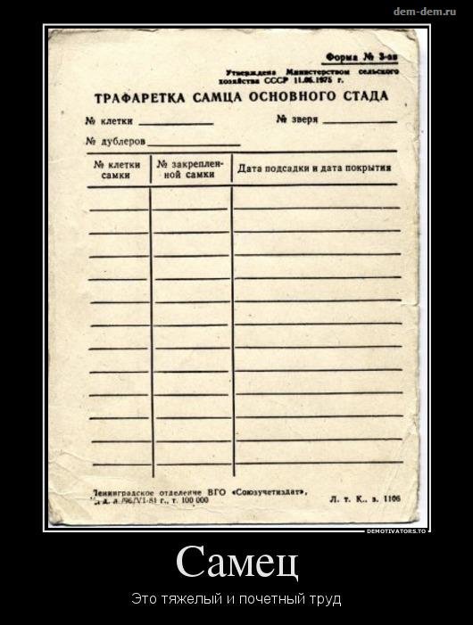 ТруЪ демотиваторы