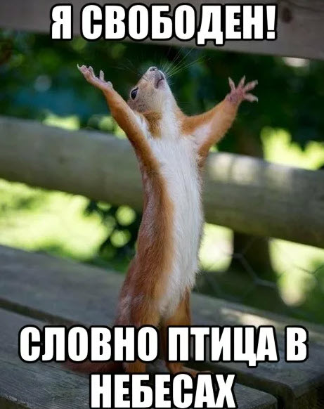 Девушки в бикини - известные и не очень