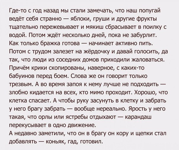 Синяя изолента