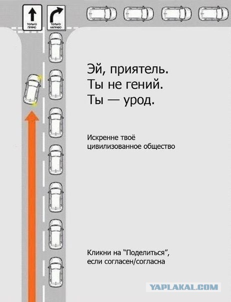 Обочечники и встречники достали