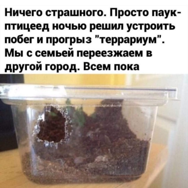 Скриншоты и комментарии из социальных сетей 17.07.22