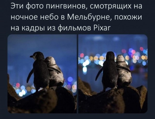 Картинки и мемы. Выходные близко...