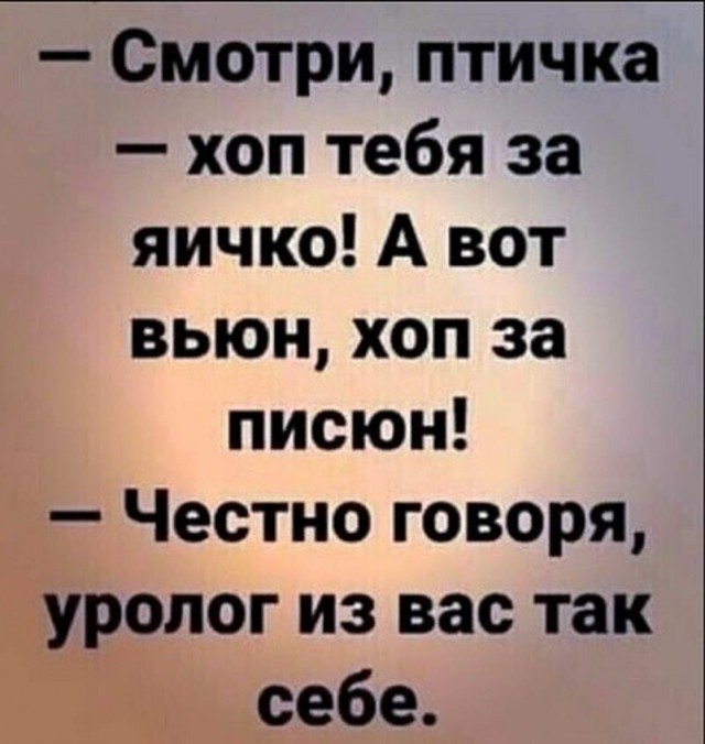 Картинки и мемы, всем хороших выходных