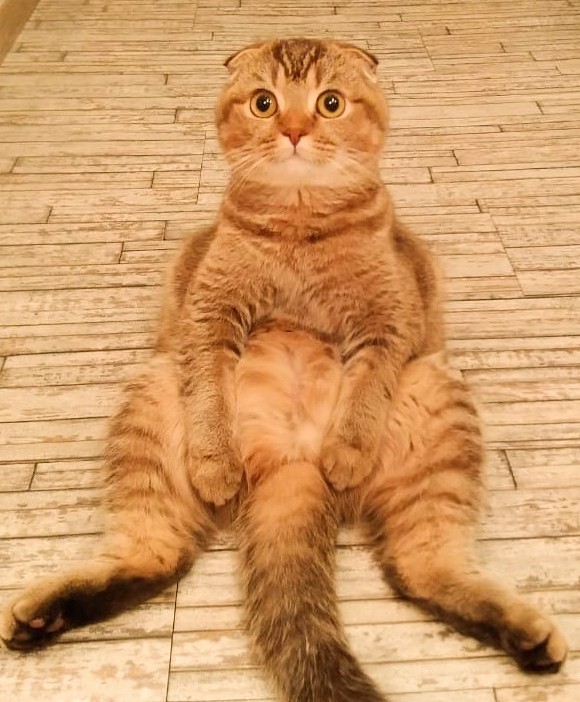 Неприемлемо