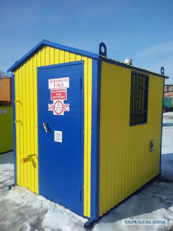 Директор школы в ХМАО написала заявление в полицию из-за косичек школьницы в цветах флага Украины