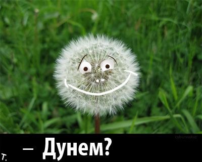 Четвёртая подборка самых баянистых баянов! Ностальгируем...