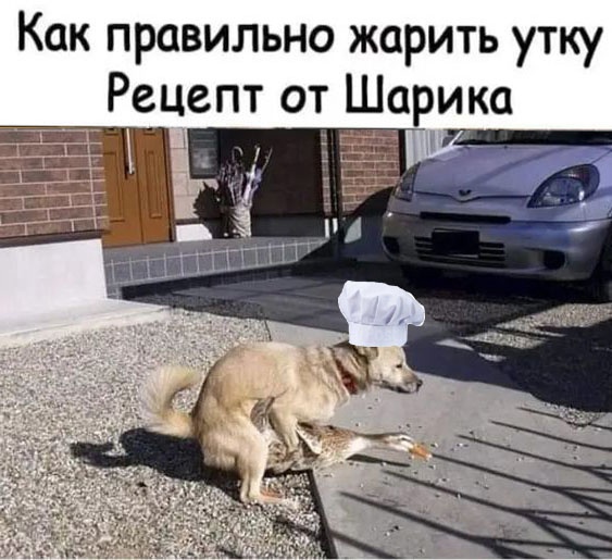 Так себе картинки 29.05.23