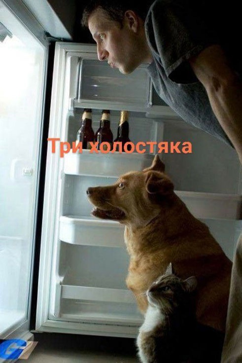 Так себе картинки 11.06.23