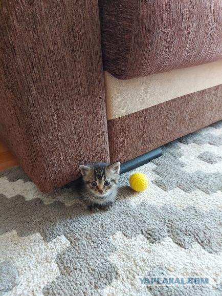Вот