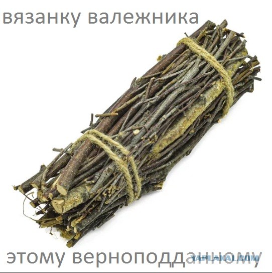 Медведев сказал...