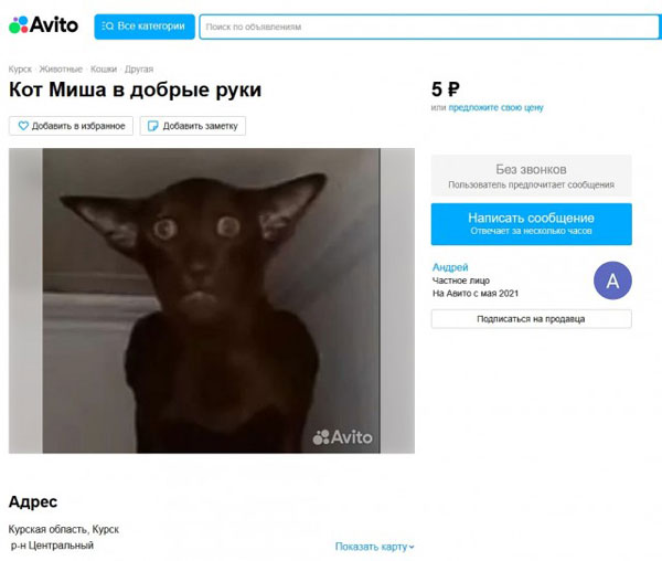 Лето. Пятница. Картинко