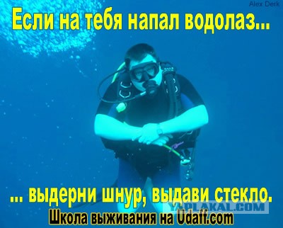 Солянка боянов из папки "Разобрать", от Удаффком до наших дней
