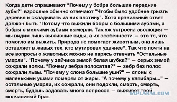 Суббота. Бояны. Не обращайте внимания