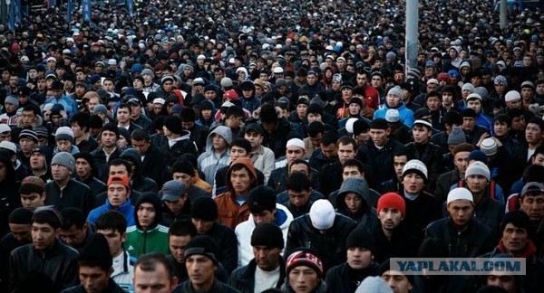 Миронов пожаловался в Минпросвещения на отмену новогодних елок из-за мигрантов