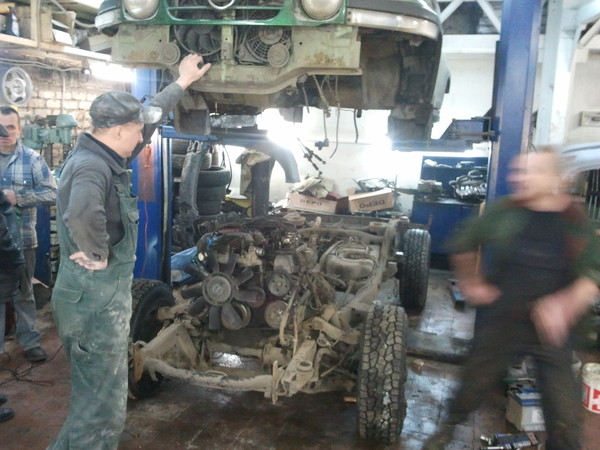 Два веселых тагаза... один серый.