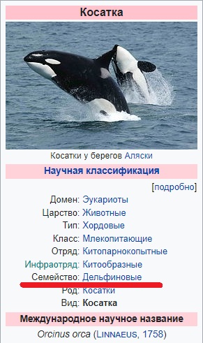 Если дельфины такие умные, то почему они не построили свою цивилизацию?