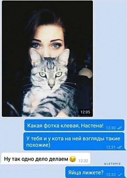 Никакие картинки