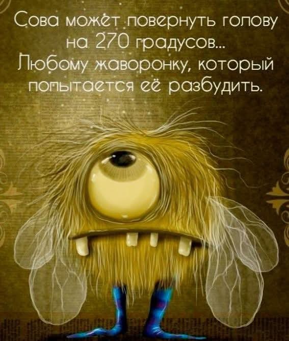 Весёлый полтишок 27.02.2025