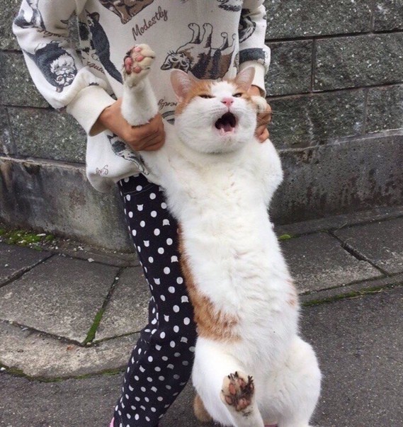 Новый человек