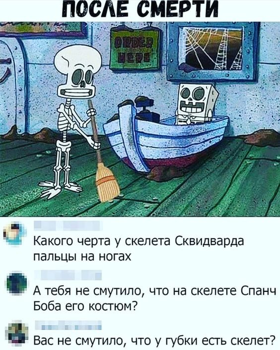 20149681.jpg
