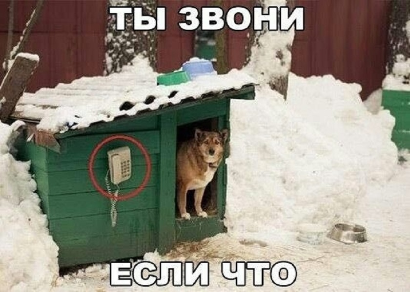 20751681.jpg