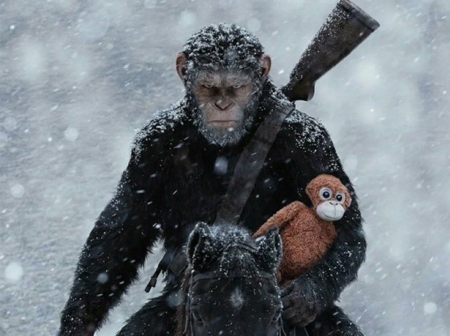 Мой любимец!