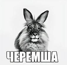 Минпросвещения разобрало мем «Черемша» и признало его безвредным.