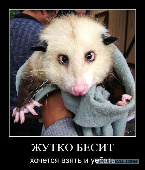 Разговор с мамой