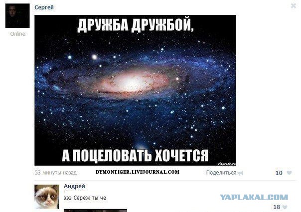 Смешные комментарии из социальных сетей