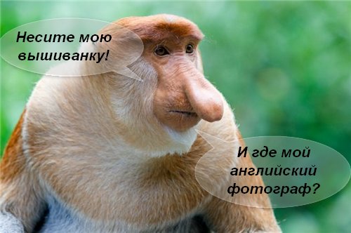 Жена порошенко снимается